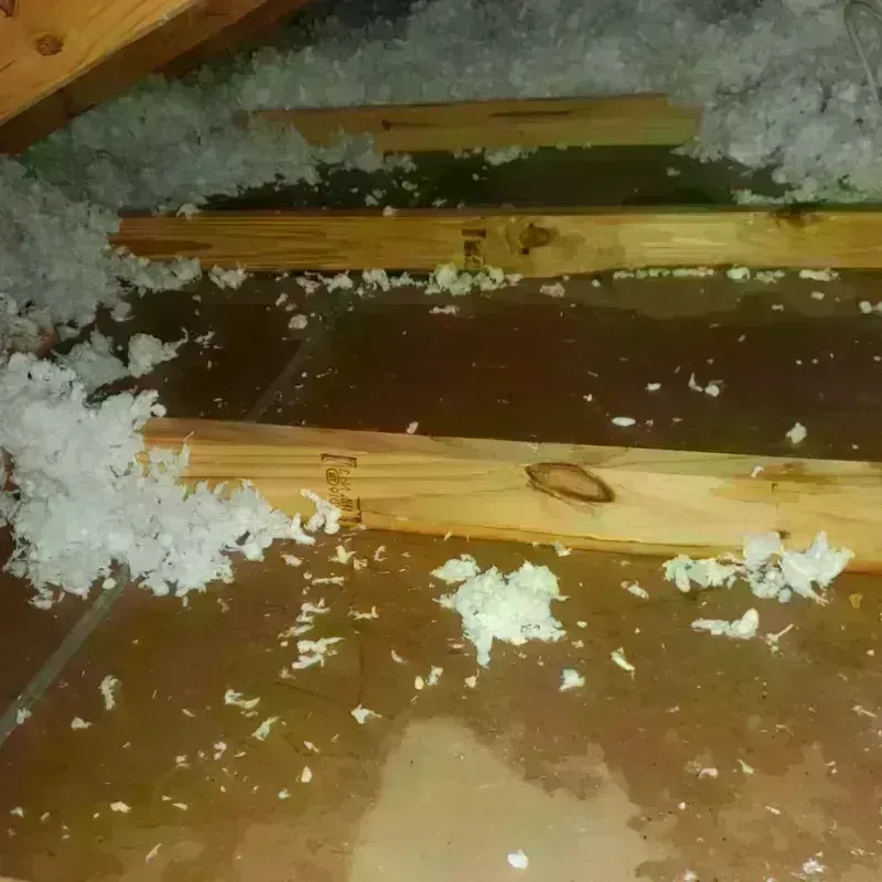 Attic Water Damage in West Concord, MA